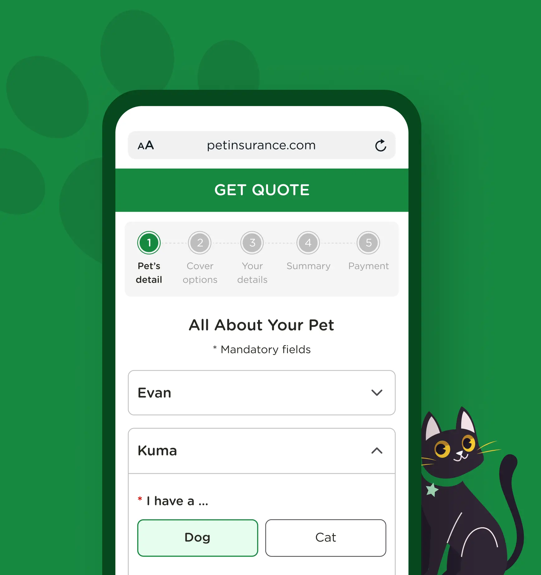 Portfolio
